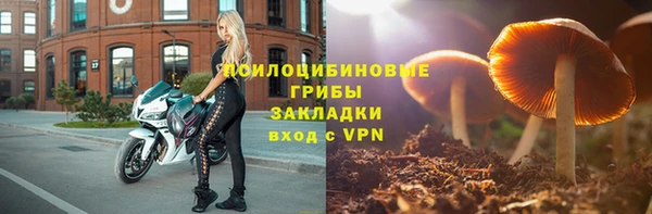 ALPHA PVP Горно-Алтайск
