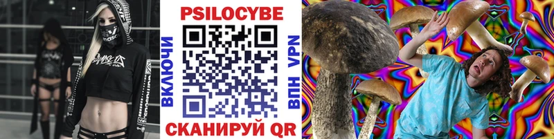 MEGA вход  наркошоп  Дегтярск  Галлюциногенные грибы Psilocybe 